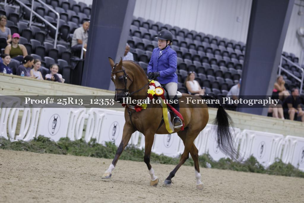 Proof 25R13_12353