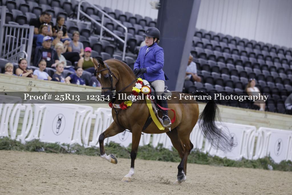 Proof 25R13_12354