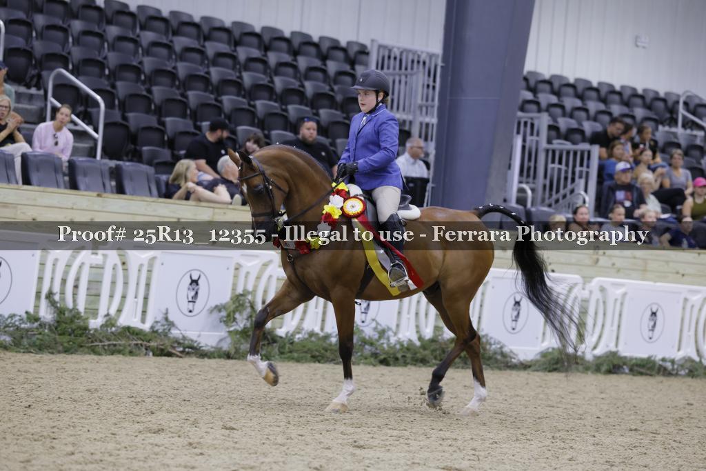 Proof 25R13_12355