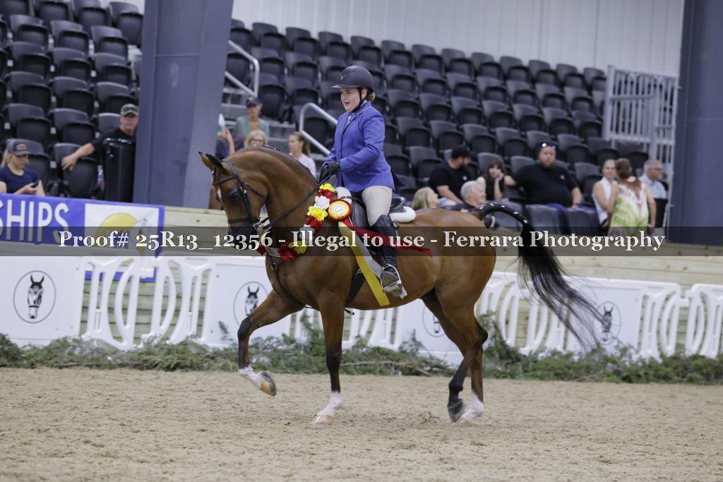 Proof 25R13_12356