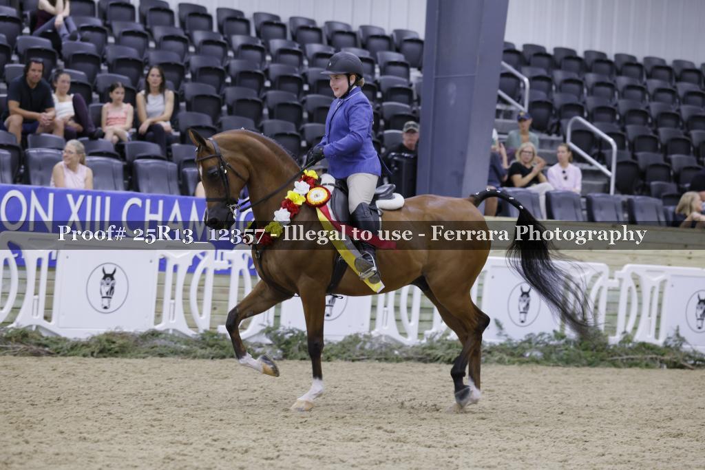Proof 25R13_12357