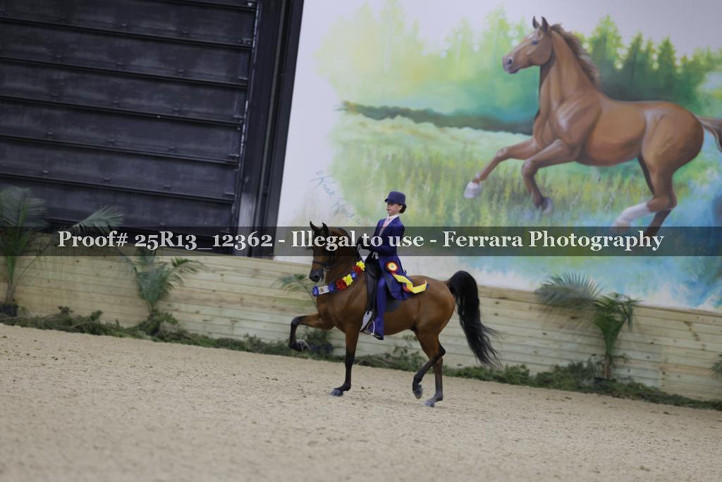 Proof 25R13_12362