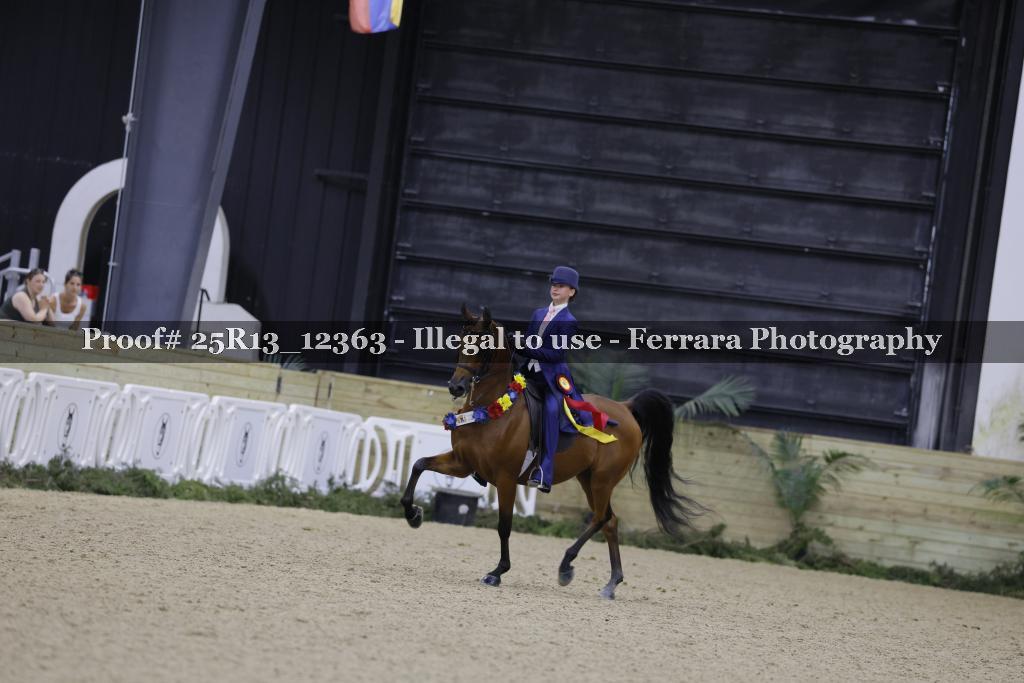 Proof 25R13_12363