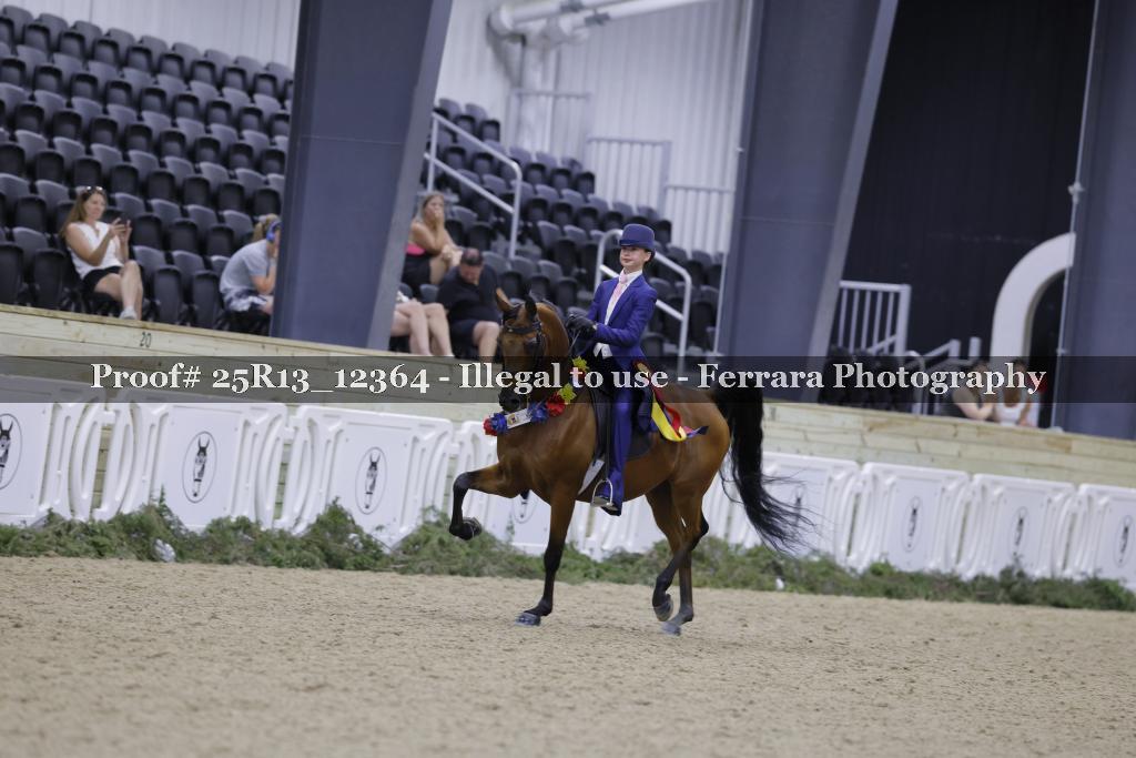 Proof 25R13_12364
