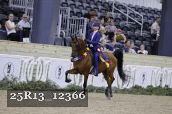 25R13_12366 proof