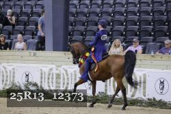 25R13_12373 proof