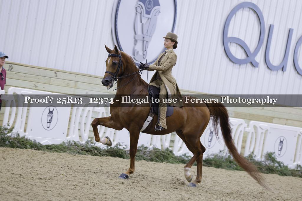 Proof 25R13_12374