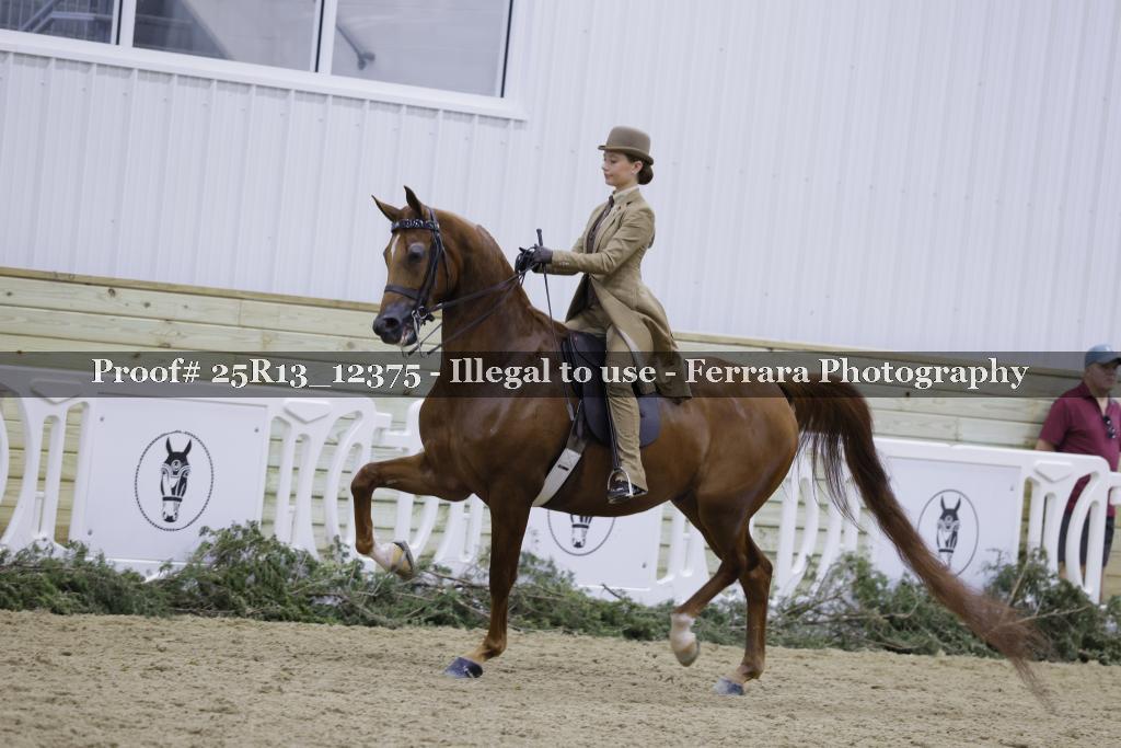 Proof 25R13_12375