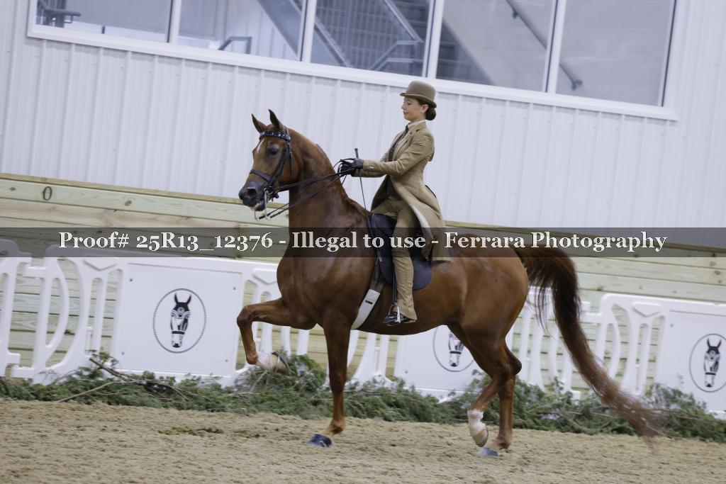 Proof 25R13_12376