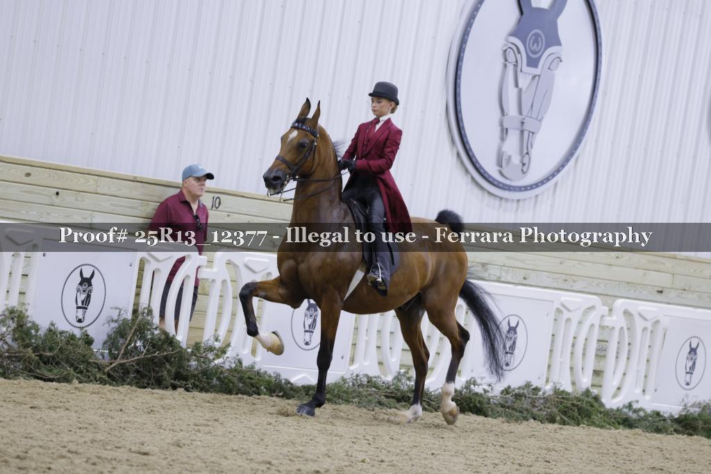 Proof 25R13_12377