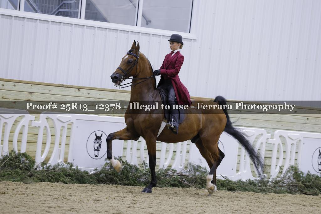 Proof 25R13_12378