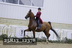 25R13_12378 proof