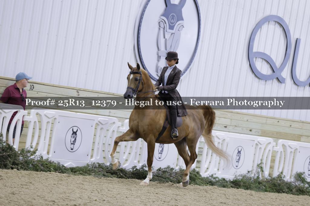 Proof 25R13_12379