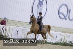 25R13_12379 proof