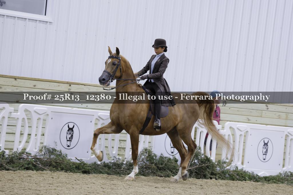 Proof 25R13_12380