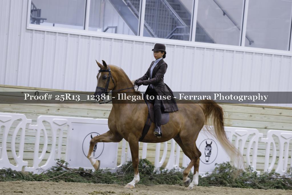 Proof 25R13_12381