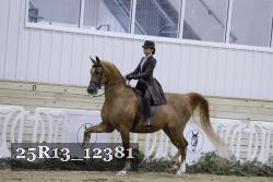 25R13_12381 proof