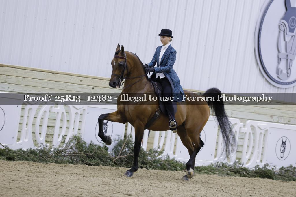 Proof 25R13_12382