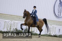 25R13_12382 proof