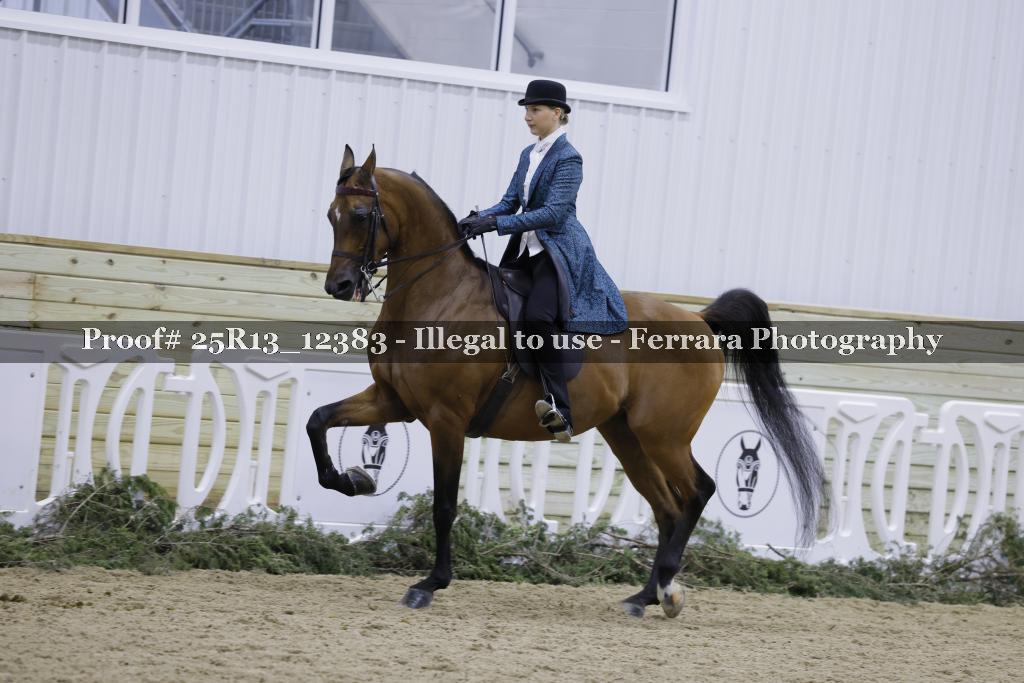 Proof 25R13_12383