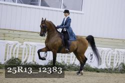 25R13_12383 proof
