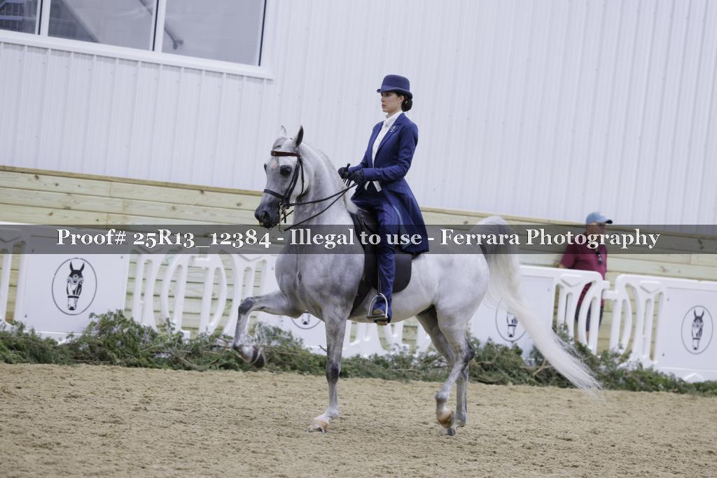Proof 25R13_12384