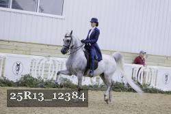 25R13_12384 proof