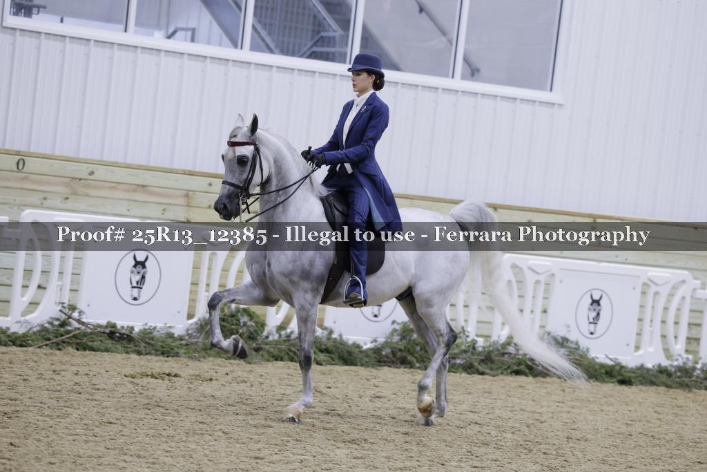 Proof 25R13_12385