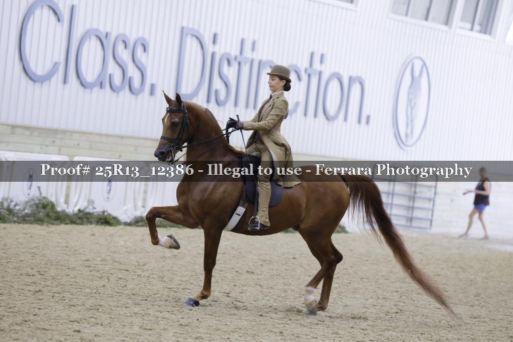 Proof 25R13_12386