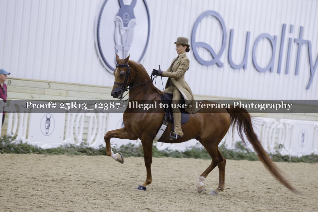 Proof 25R13_12387