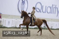 25R13_12387 proof