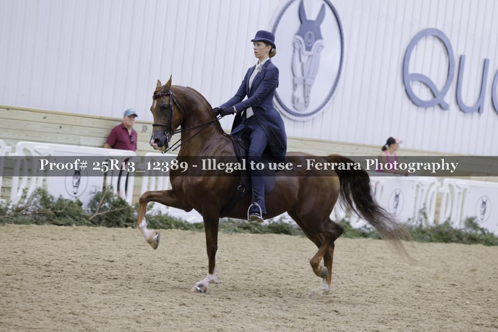 Proof 25R13_12389