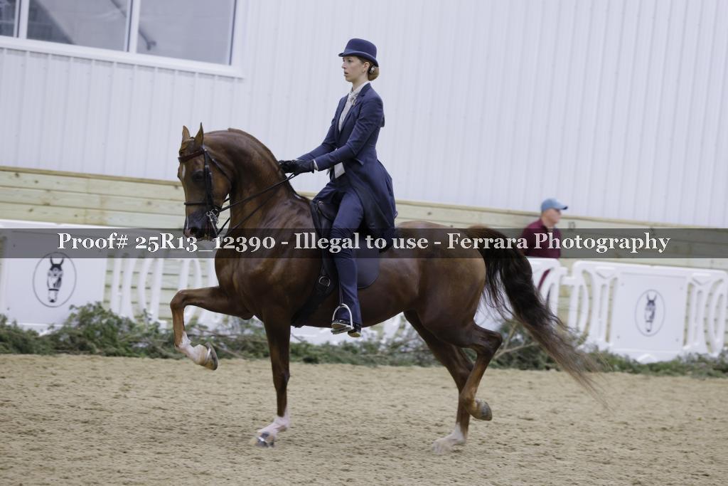 Proof 25R13_12390