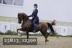 25R13_12390 proof