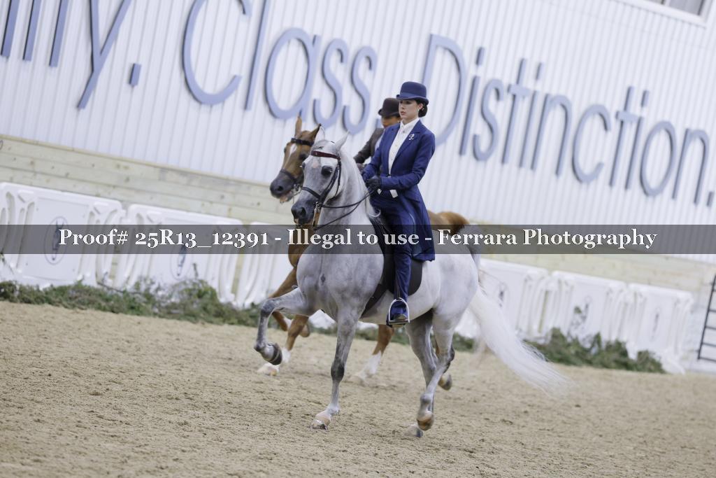 Proof 25R13_12391