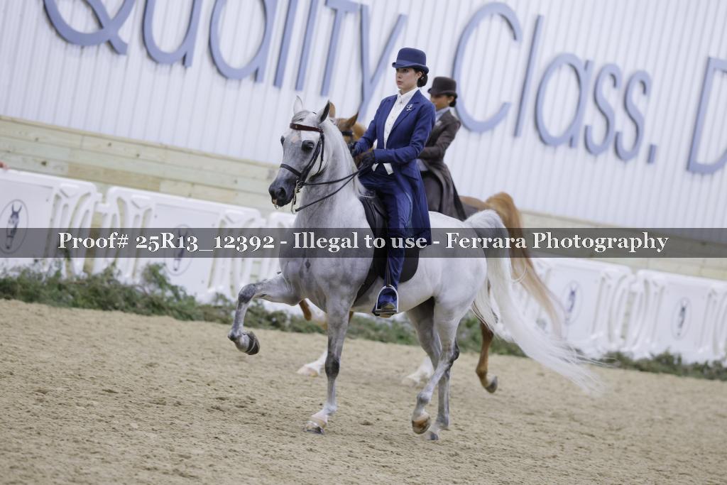 Proof 25R13_12392