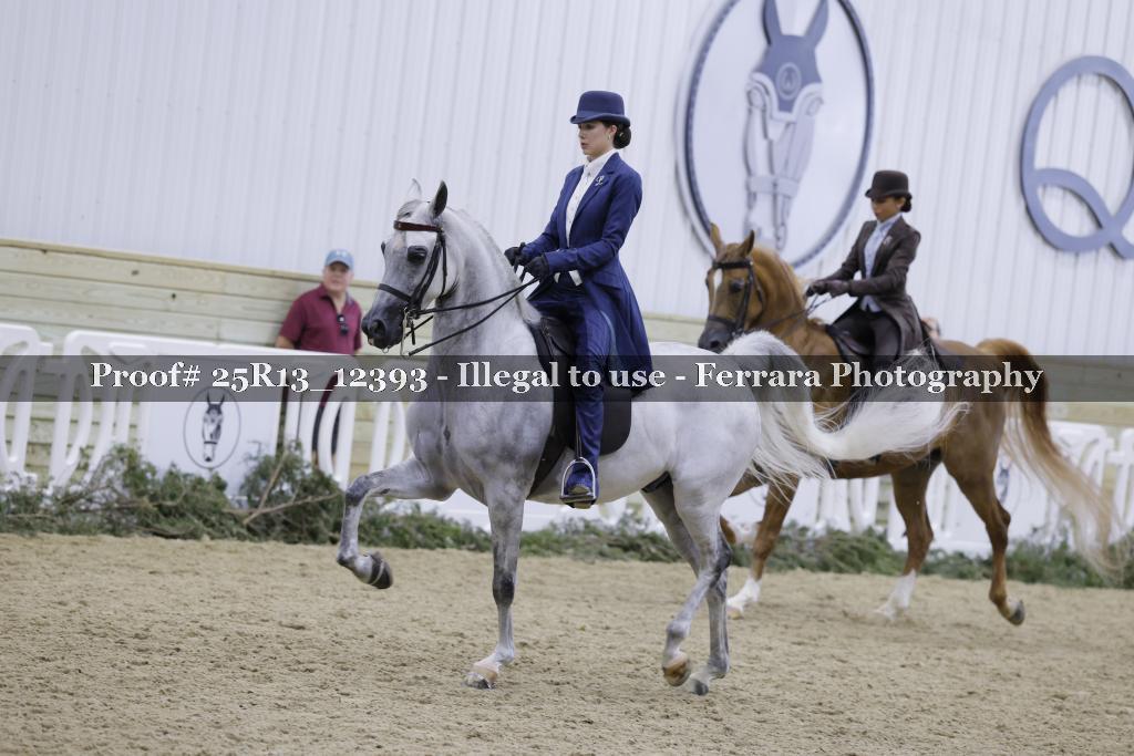 Proof 25R13_12393