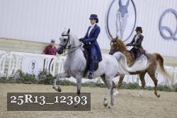 25R13_12393 proof