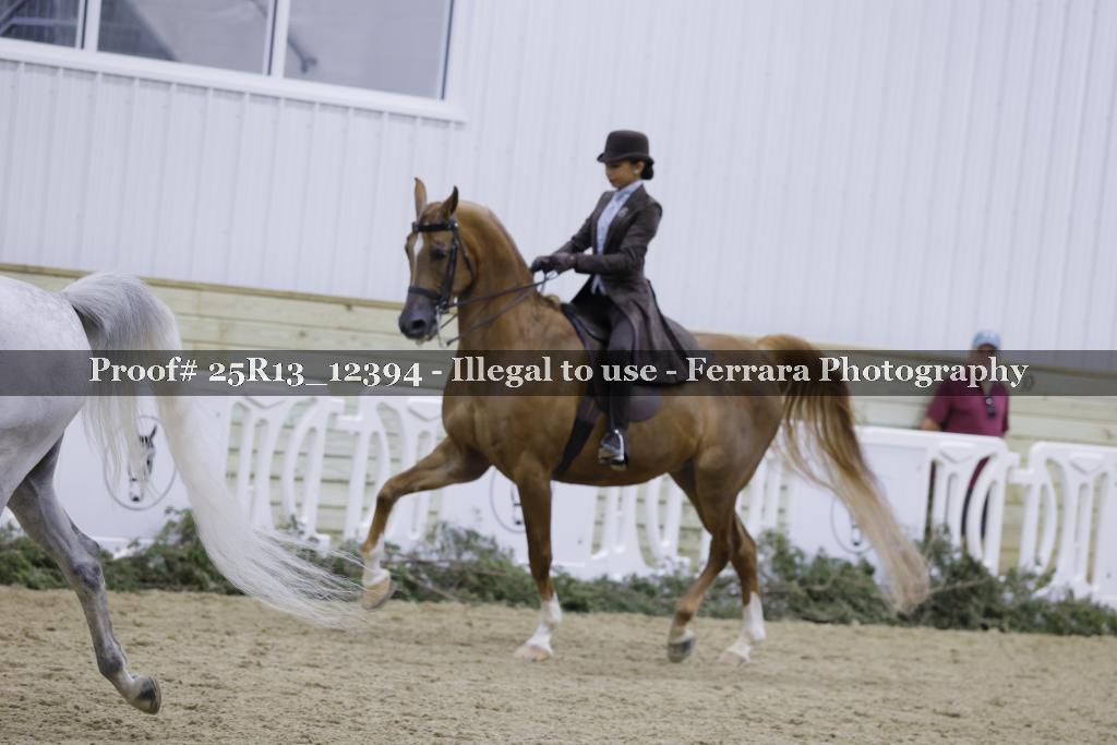 Proof 25R13_12394