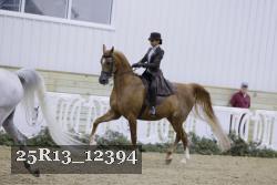 25R13_12394 proof