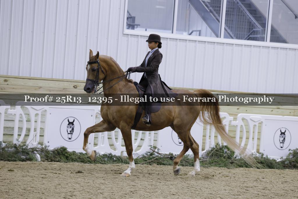 Proof 25R13_12395