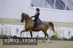 25R13_12395 proof