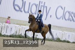 25R13_12396 proof