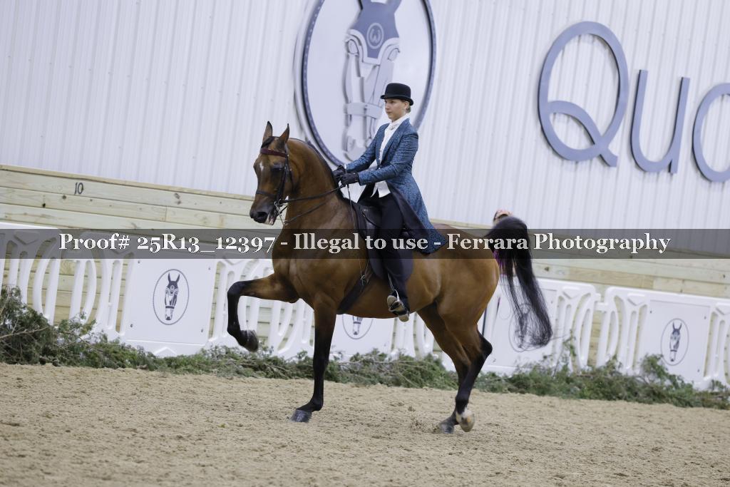 Proof 25R13_12397