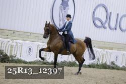25R13_12397 proof