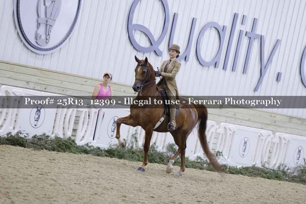 Proof 25R13_12399