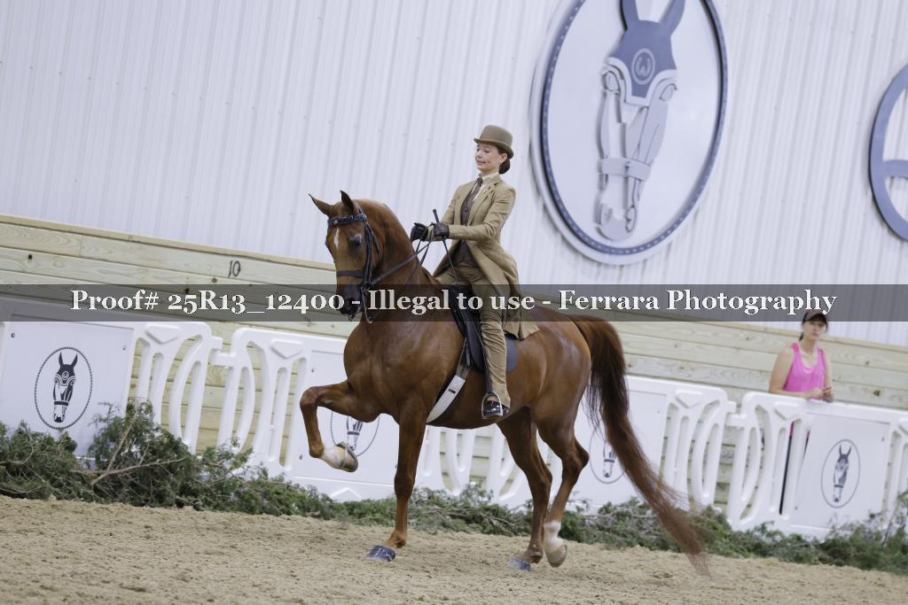 Proof 25R13_12400