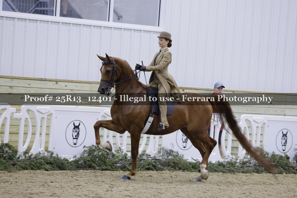 Proof 25R13_12401
