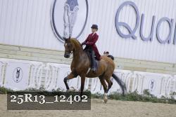 25R13_12402 proof