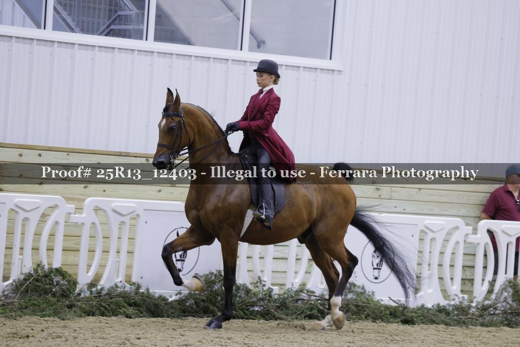 Proof 25R13_12403